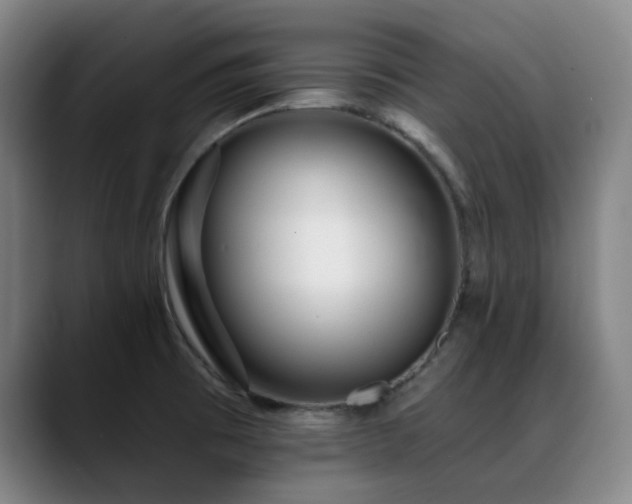 X0000089441473200706151404
