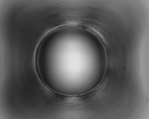 X0000089441475200706151404
