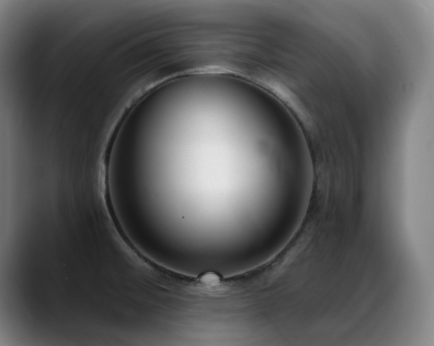 X0000089441476200706151404