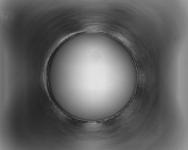 X0000089441478200706151404