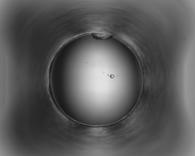 X0000089441479200706151404