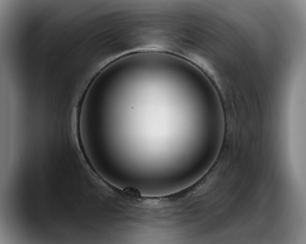 X0000089441480200706151404