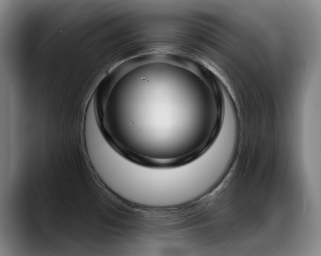 X0000089441481200706151404