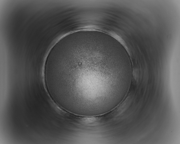 X0000089441482200706151404