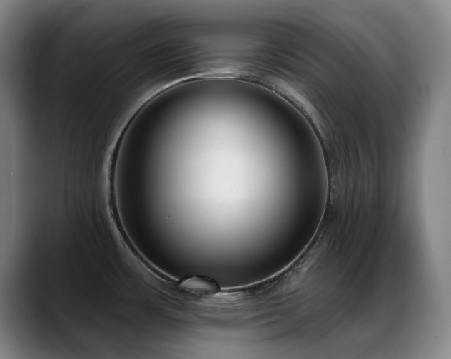 X0000089441483200706151404