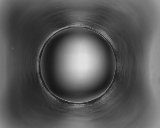 X0000089441484200706151404