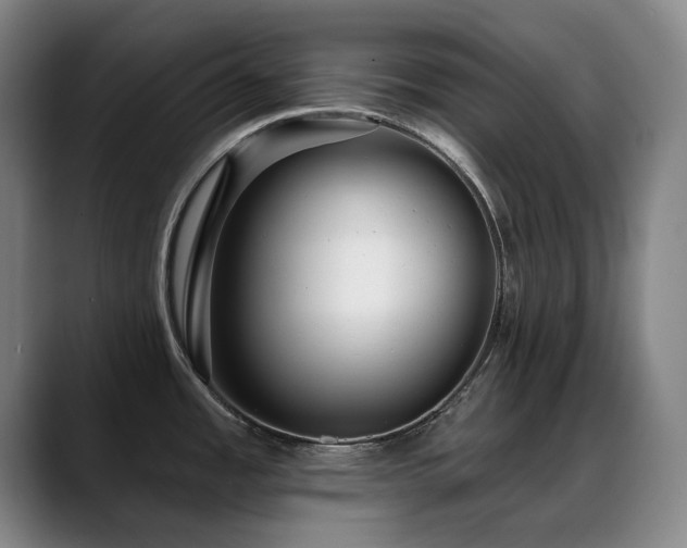 X0000089441485200706151404