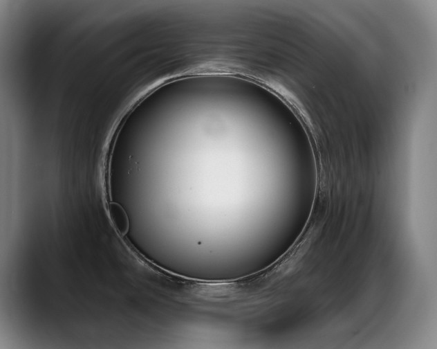 X0000089441486200706151404