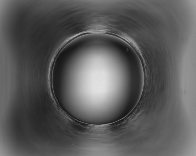 X0000089441488200706151404