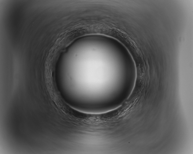 X0000089441489200706151404