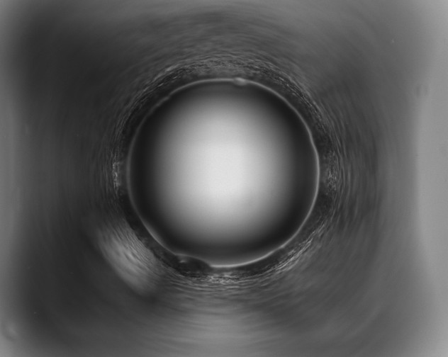 X0000089441490200706151404