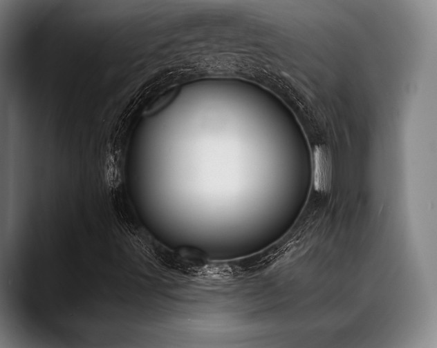 X0000089441491200706151404