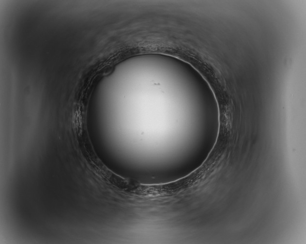 X0000089441493200706151404