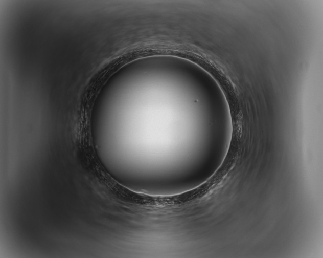 X0000089441494200706151404