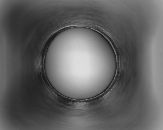 X0000089441498200706151404
