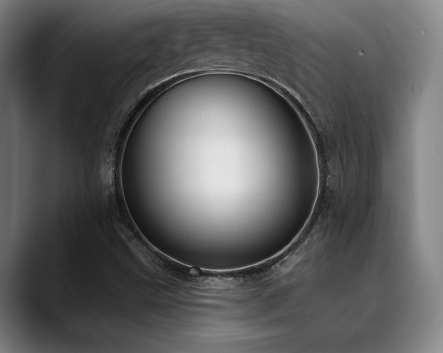 X0000089441499200706151404