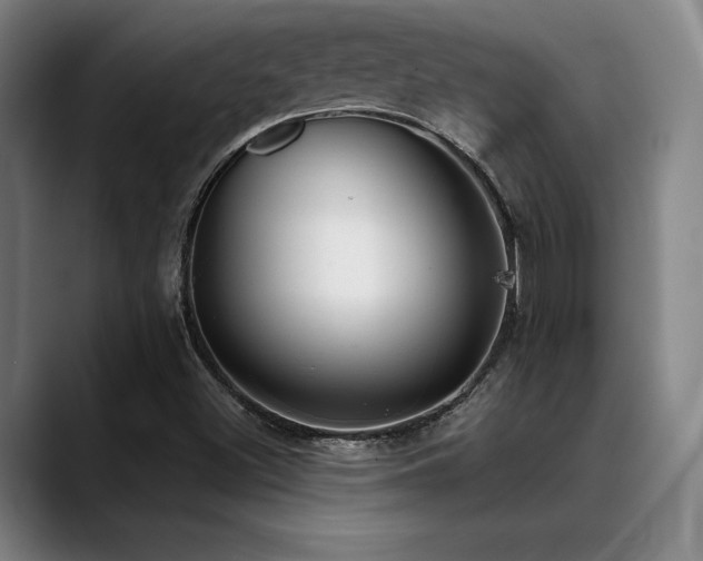 X0000089441500200706151404