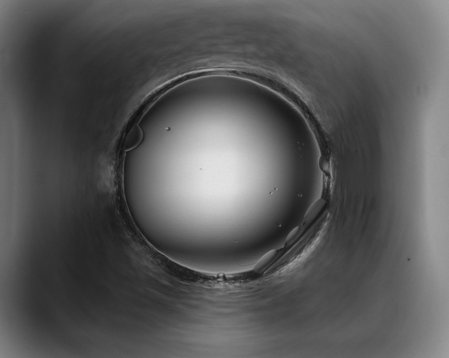 X0000089441501200706151404