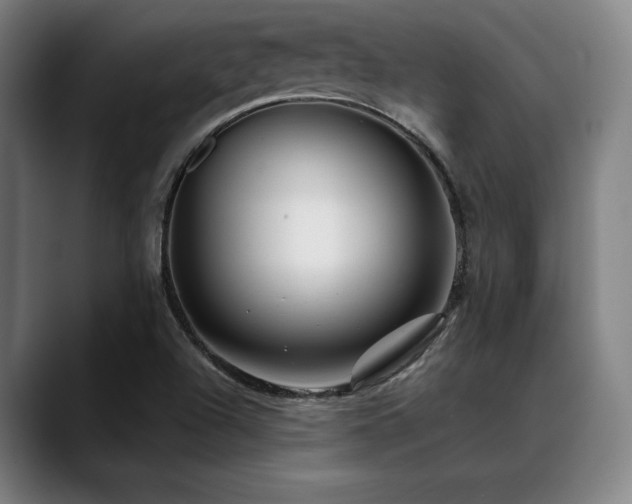 X0000089441504200706151404