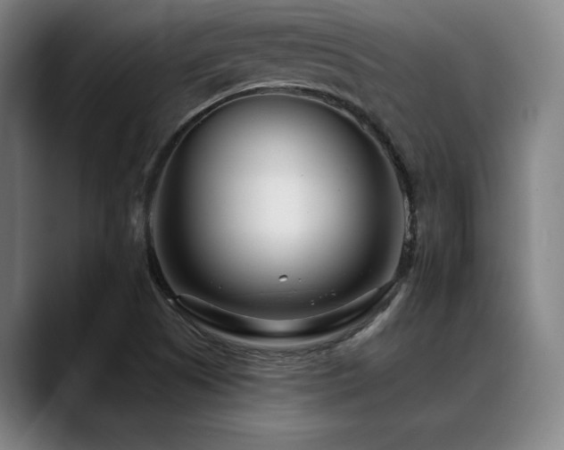 X0000089441505200706151404