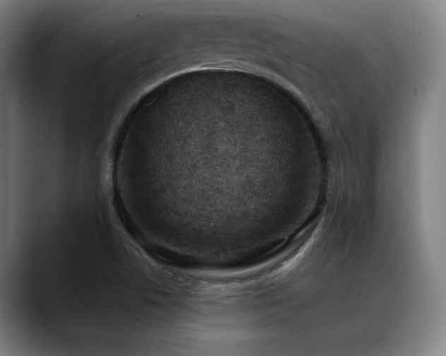 X0000089441506200706151404