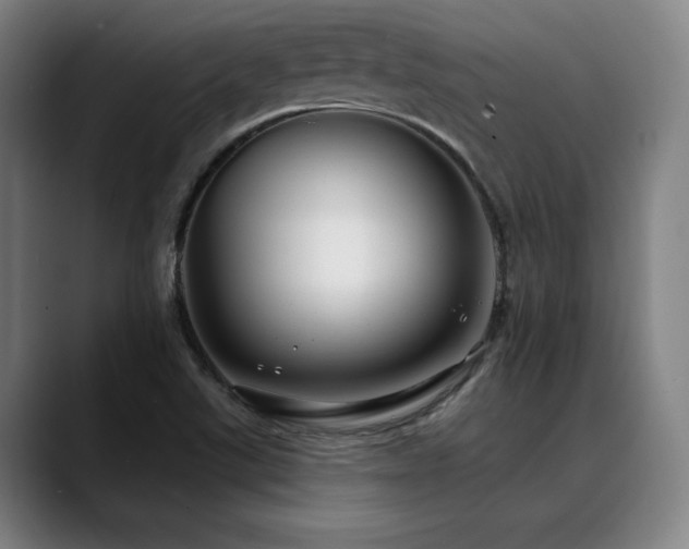X0000089441507200706151404