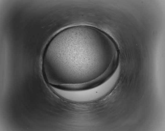 X0000089441508200706151404