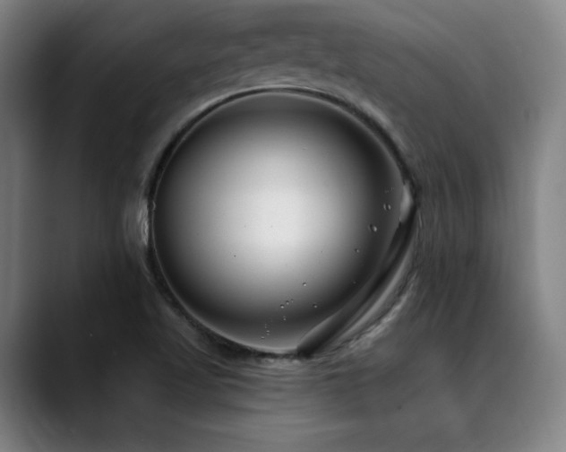X0000089441509200706151404