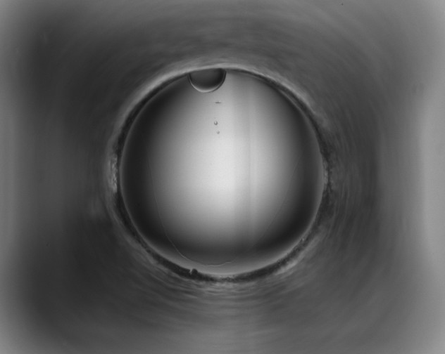 X0000089441510200706151404