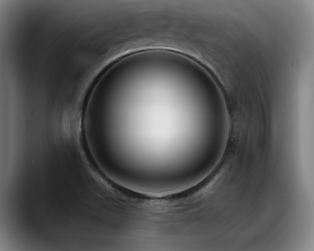 X0000089441511200706151404
