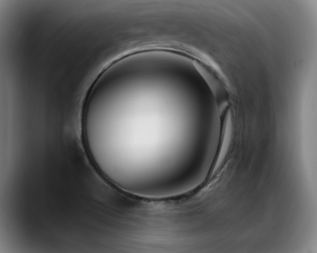 X0000089441512200706151404