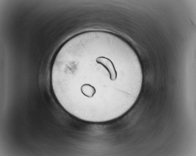 X0000089441514200706151404