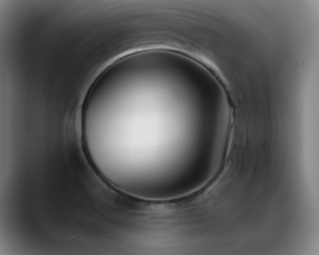 X0000089441516200706151404