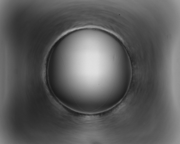 X0000089441518200706151404