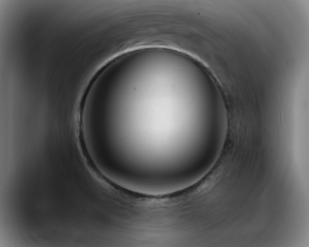 X0000089441519200706151404