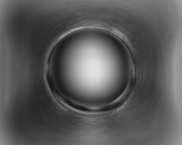 X0000089441520200706151404