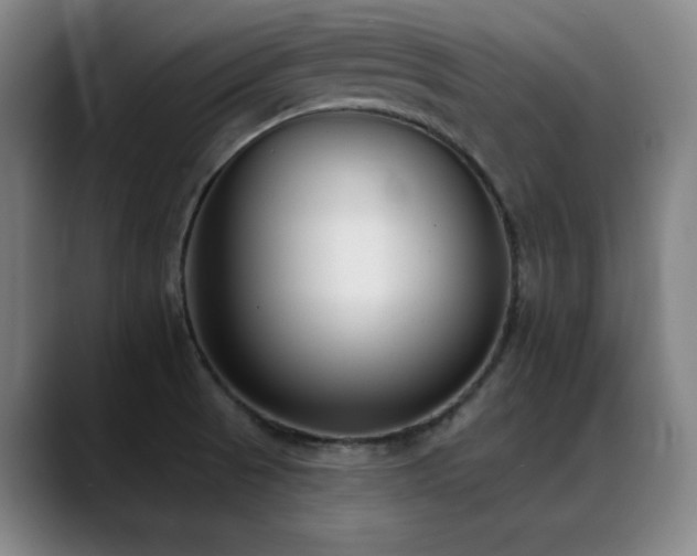 X0000089441521200706151404