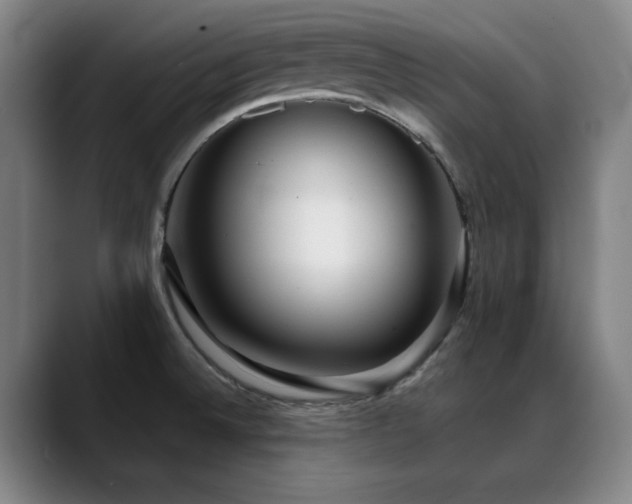 X0000089441524200706151404
