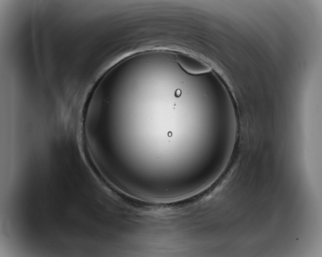 X0000089441525200706151404