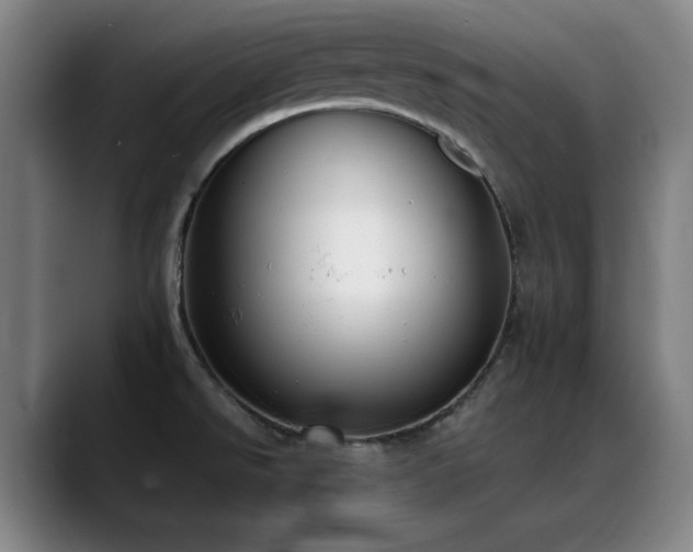 X0000089441526200706151404