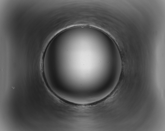 X0000089441527200706151404