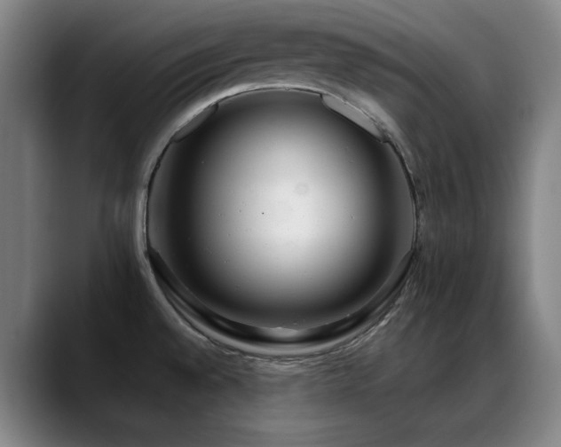 X0000089441528200706151404