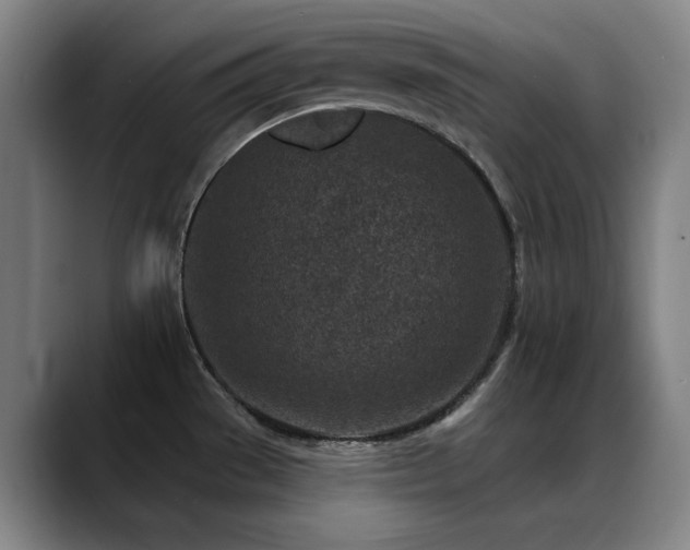 X0000089441529200706151404