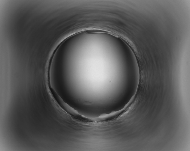 X0000089441530200706151404