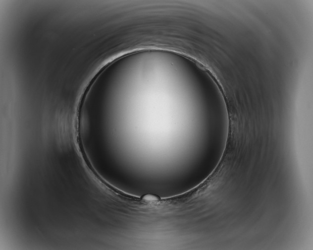 X0000089441531200706151404