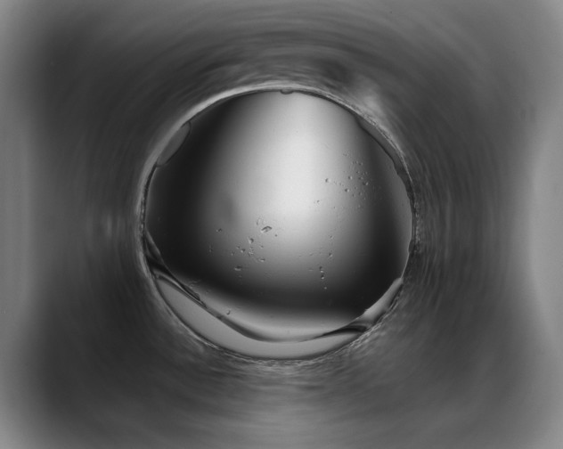 X0000089441532200706151404