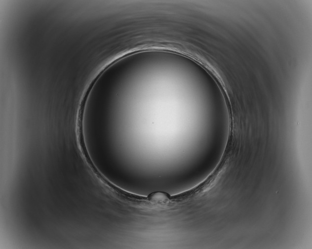 X0000089441533200706151404