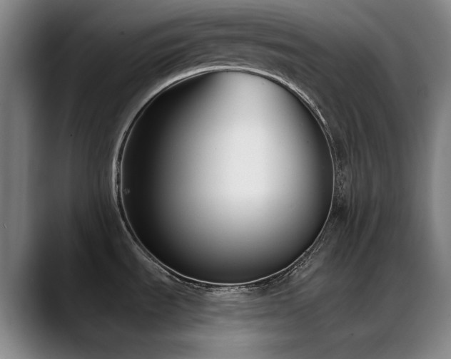 X0000089441535200706151404