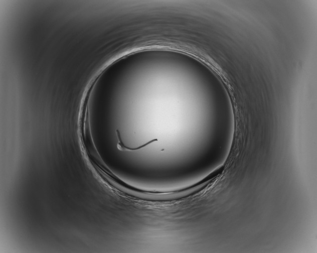 X0000089441536200706151404