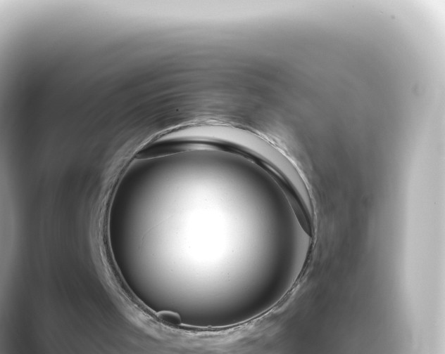 X0000089440001200706221237